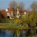 Frühling in Regensburg (III)