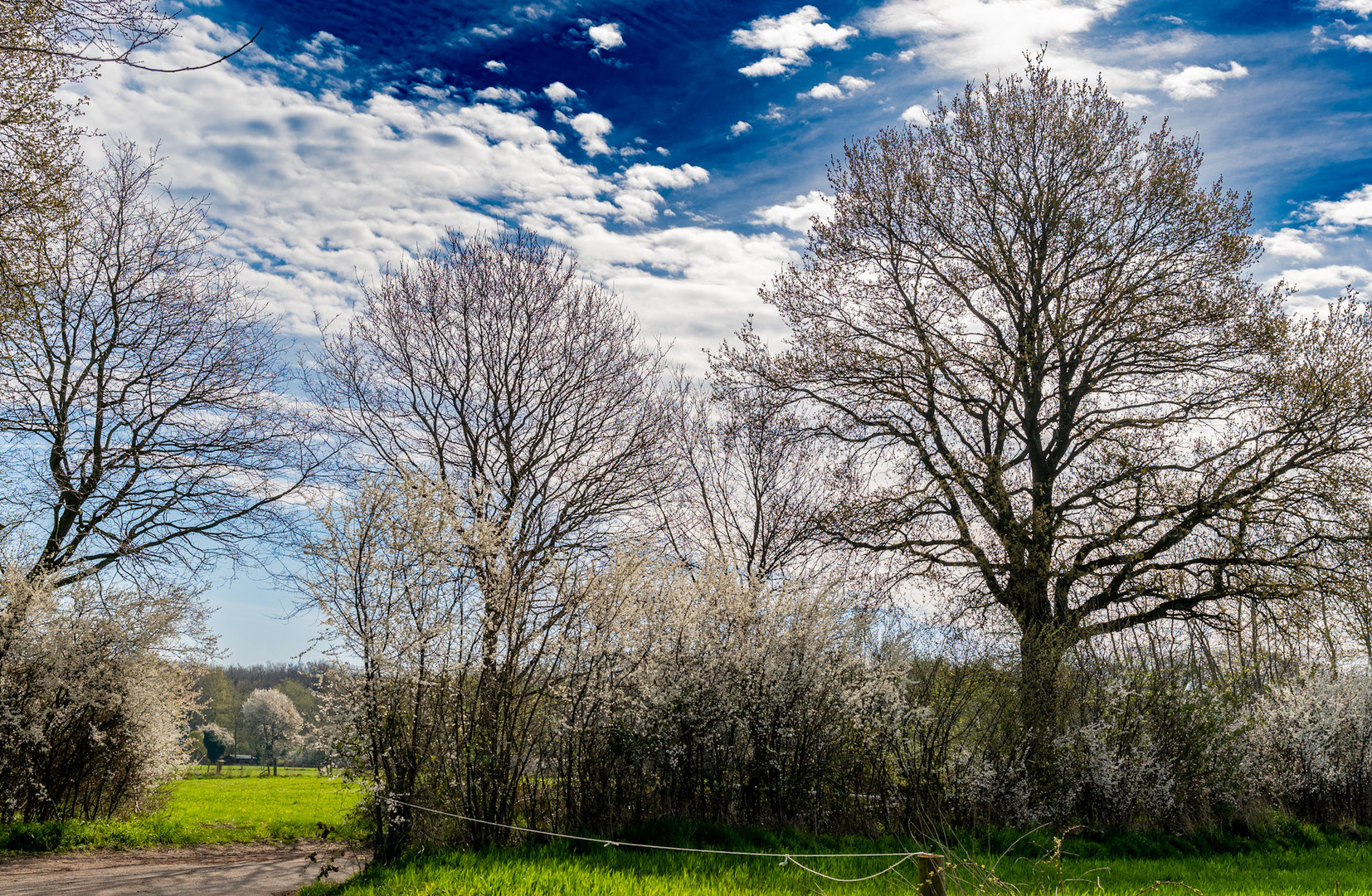 Frühling in Reinbek / SchleswigHolstein 