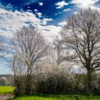 Frühling in Reinbek / SchleswigHolstein 