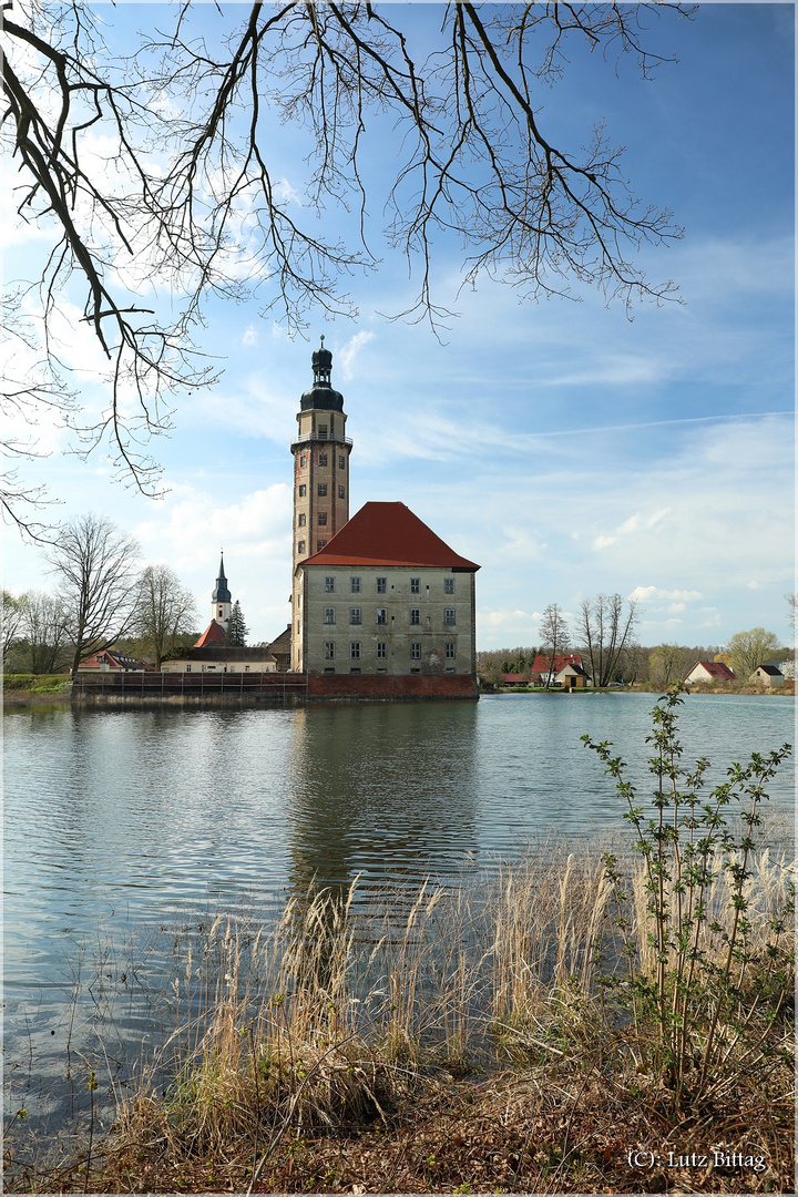 Frühling in Reinharz