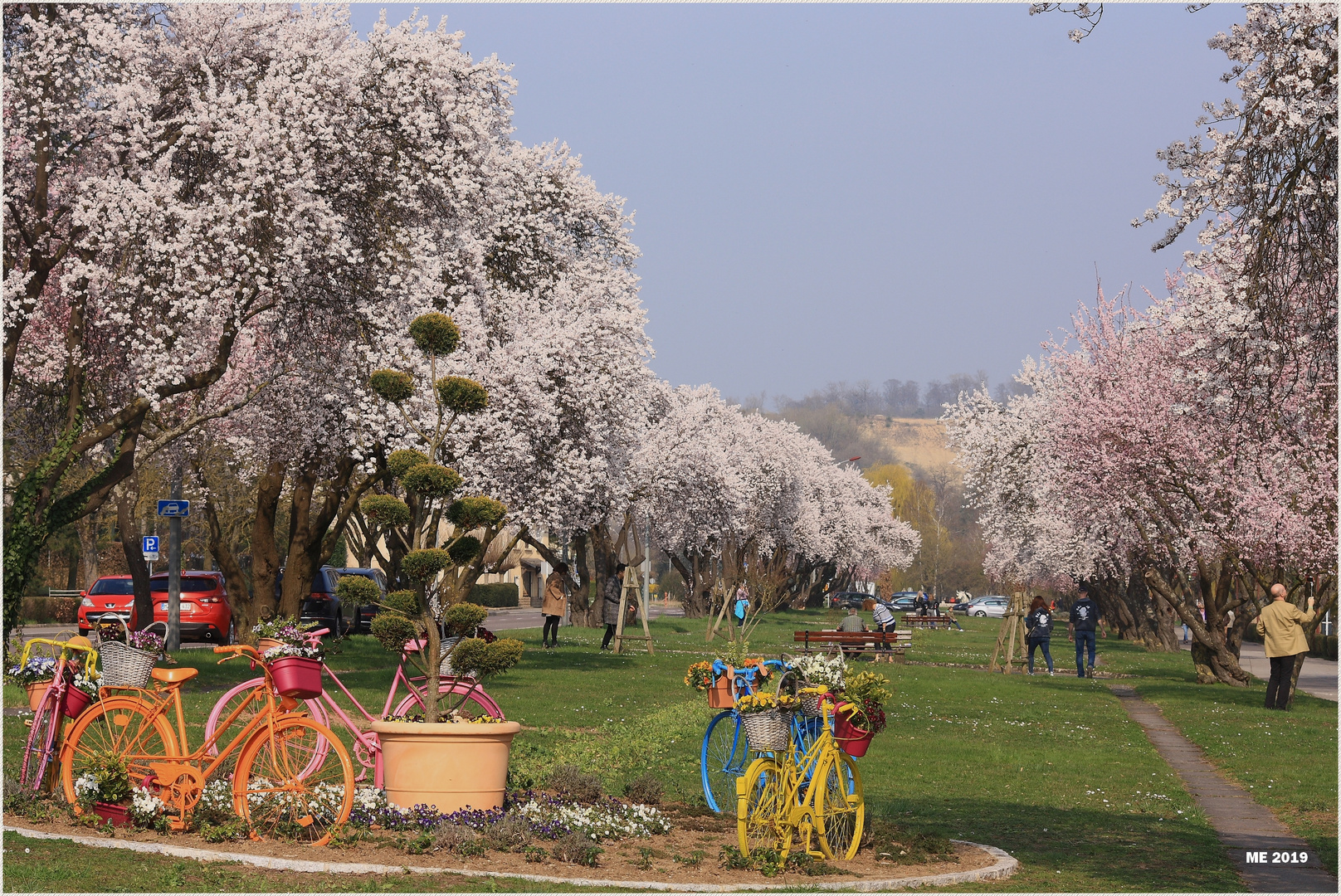 Frühling in Remich