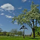 Frühling in Retringen