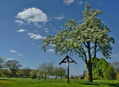 Frühling in Retringen