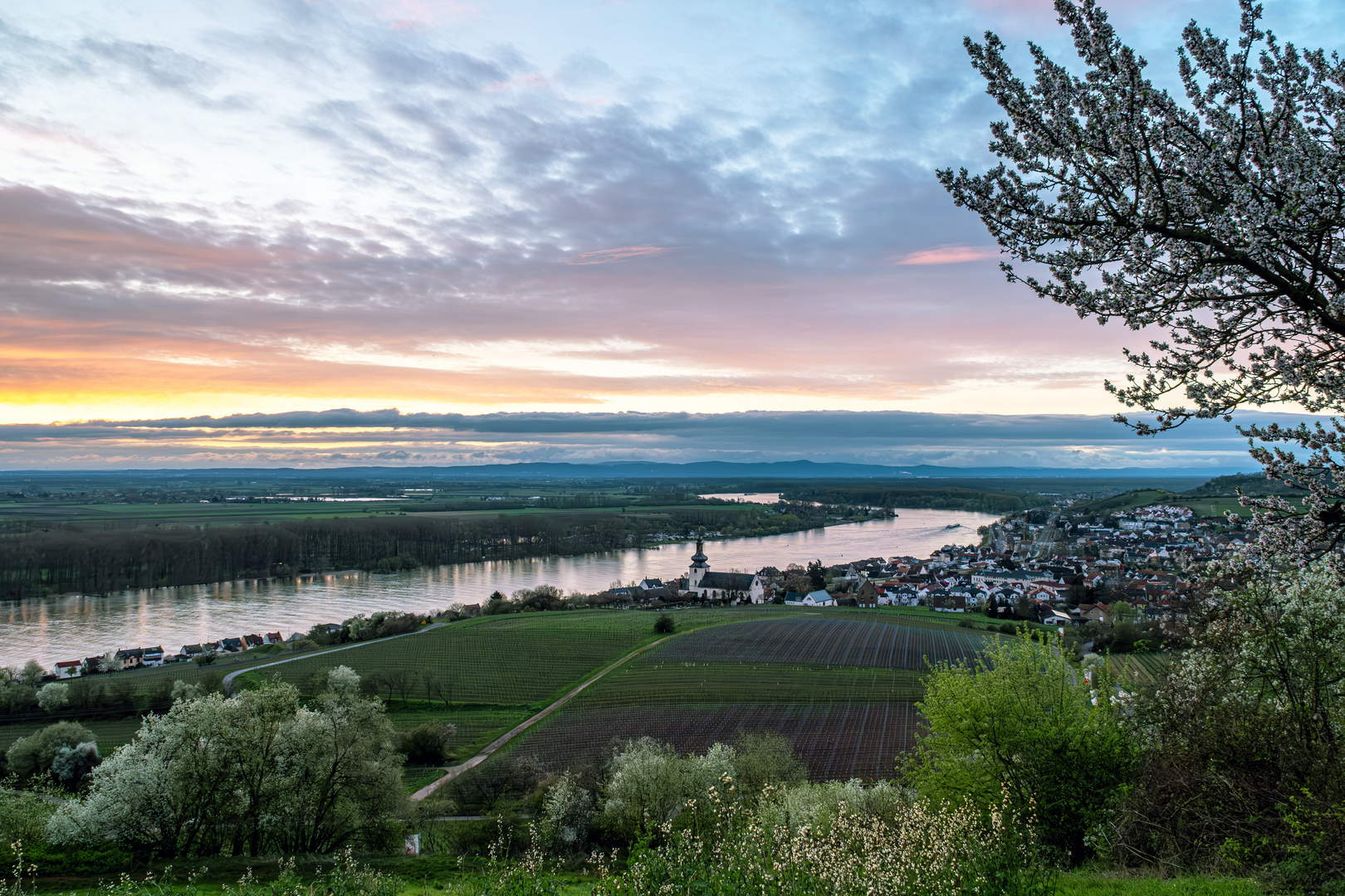 Frühling in Rheinhessen