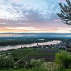 Frühling in Rheinhessen