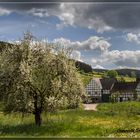 Frühling in Richstein