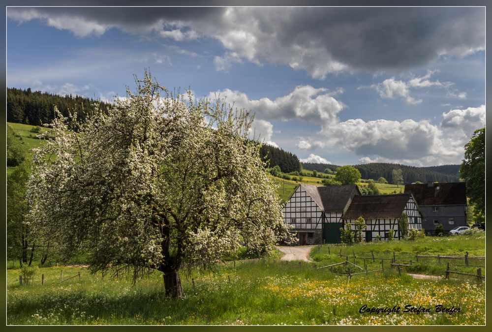 Frühling in Richstein