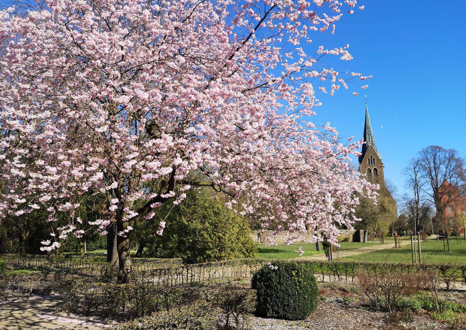 Frühling in Rieste