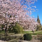 Frühling in Rieste