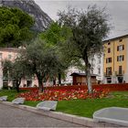 ~~Frühling in Riva del Garda~~