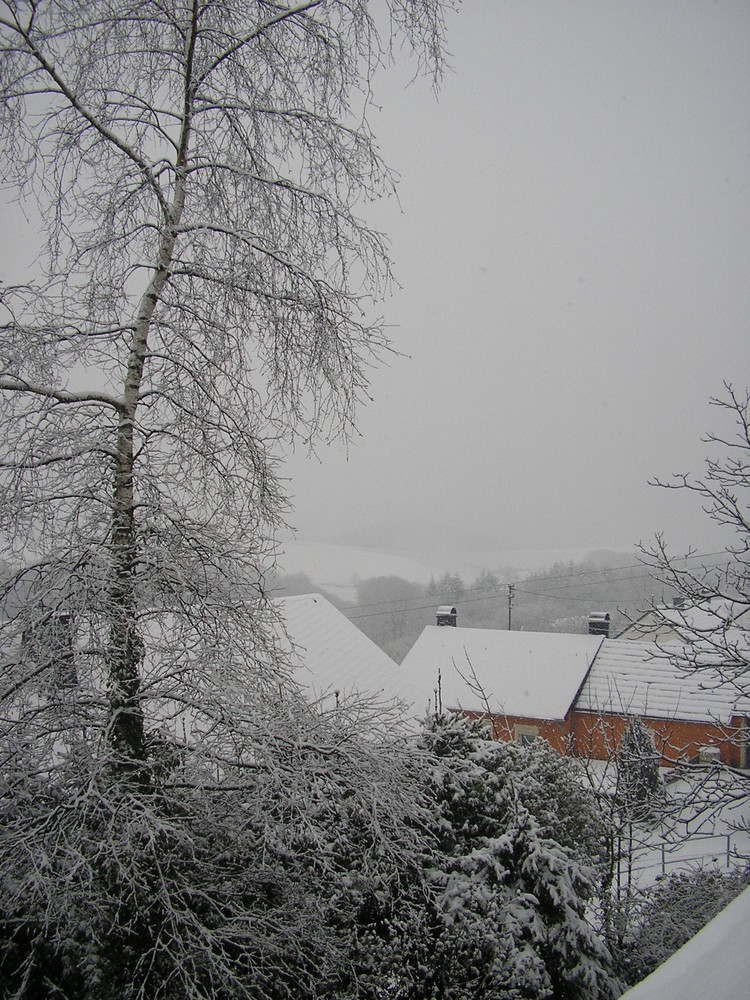 Frühling in Rodershausen