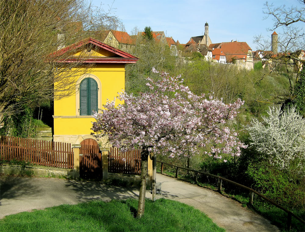 Frühling in Rothenburg