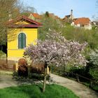 Frühling in Rothenburg