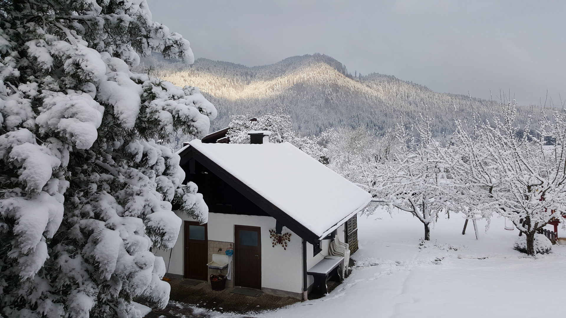 Frühling in Ruhpolding