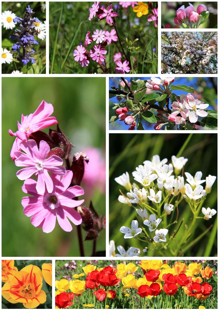 Frühling in Ruhpolding!