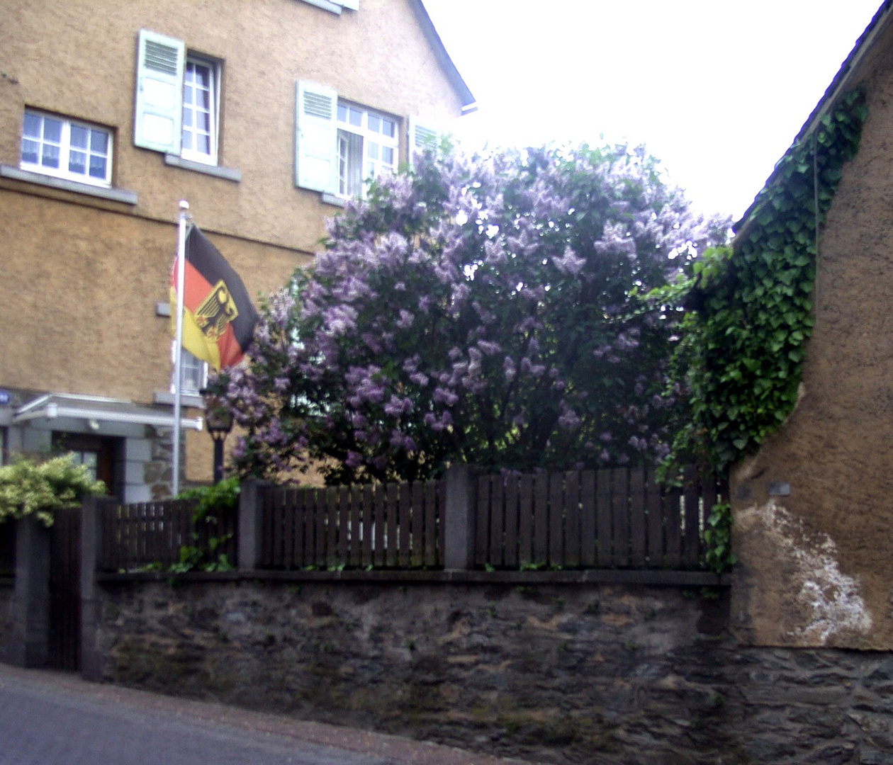 Frühling in Runkel (1)