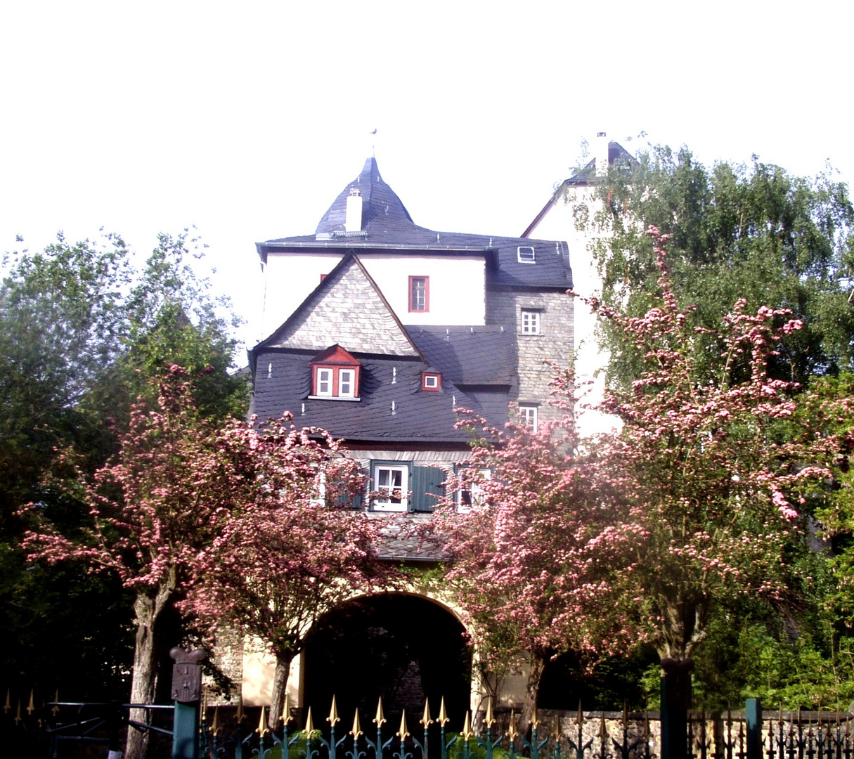 Frühling in Runkel (2)