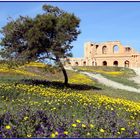 Frühling in Sabratha