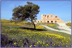 Frühling in Sabratha