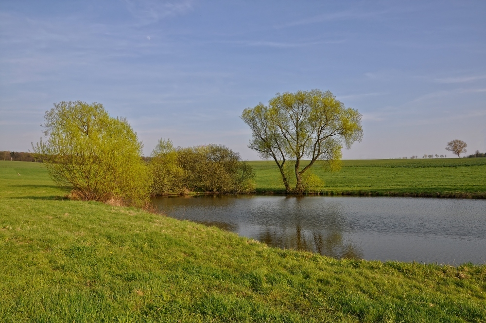 Frühling in Sachsen......