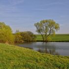 Frühling in Sachsen......