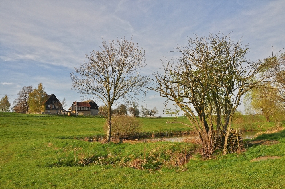 Frühling in Sachsen.....