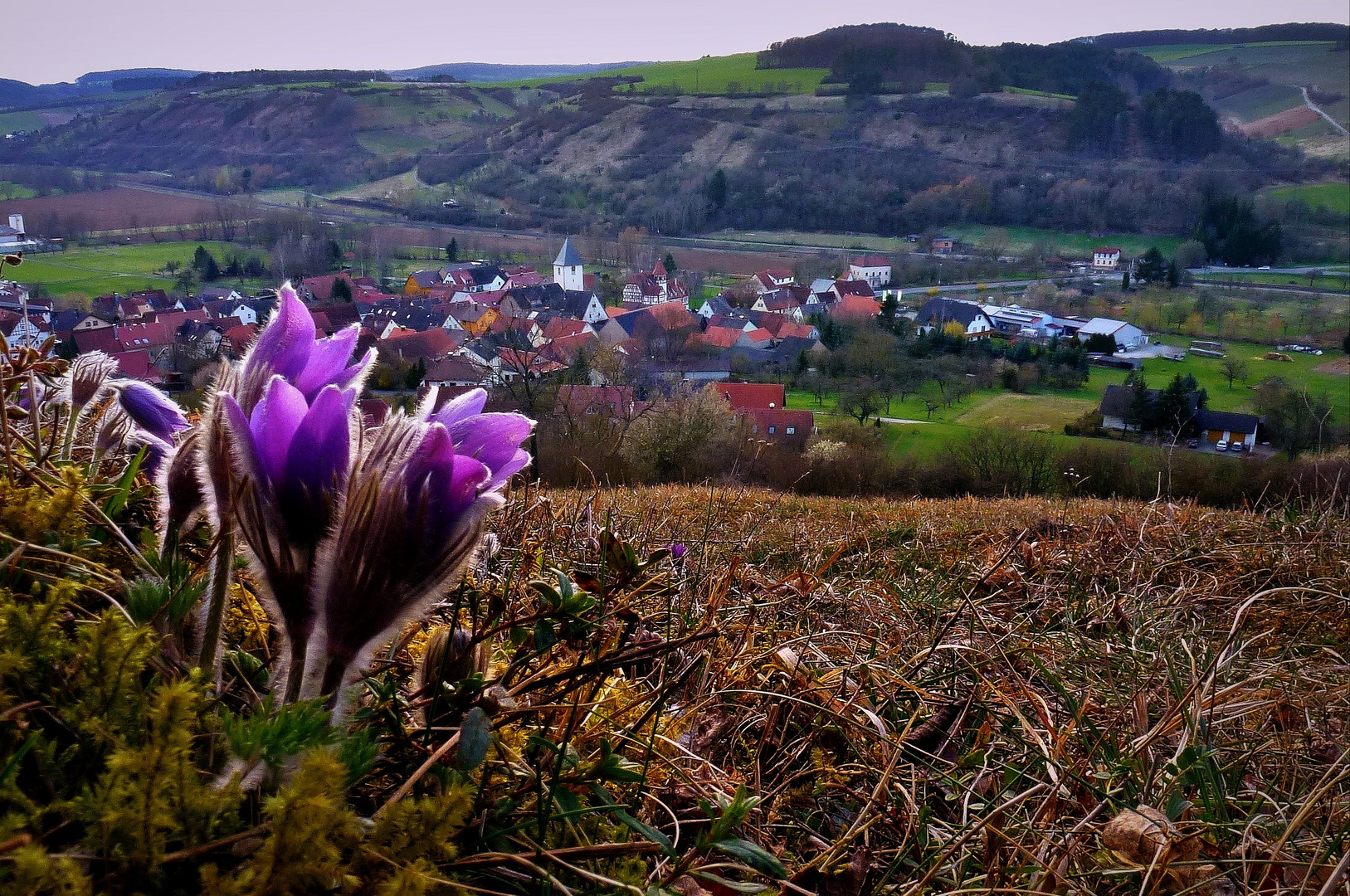 Frühling in Sachsenflur.