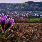 Frühling in Sachsenflur.