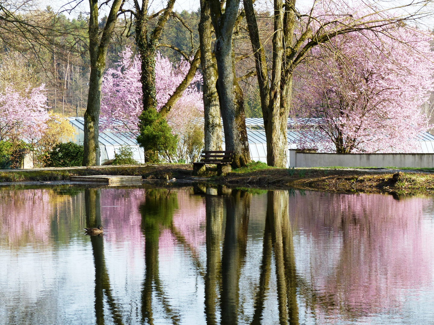 Frühling in Sankt Ottilien