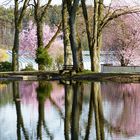 Frühling in Sankt Ottilien