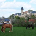 Frühling in Sanspareil