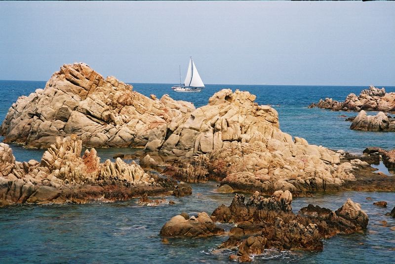 Frühling in Sardinien