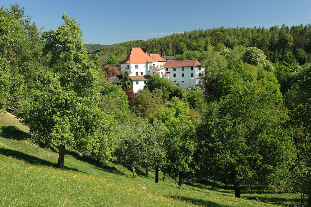 Frühling in Saulburg