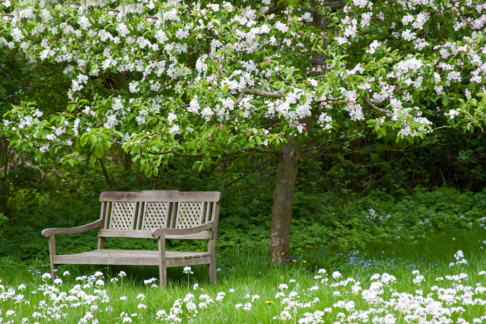 Frühling in Schleswig