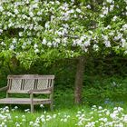 Frühling in Schleswig