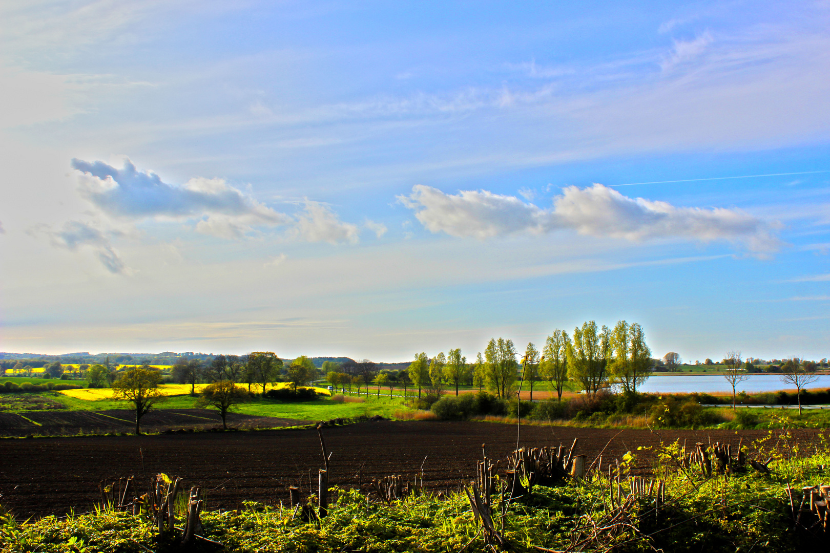 Frühling in Schleswig Holstein