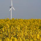 Frühling in Schleswig-Holstein