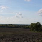 Frühling in Schleswig Holstein