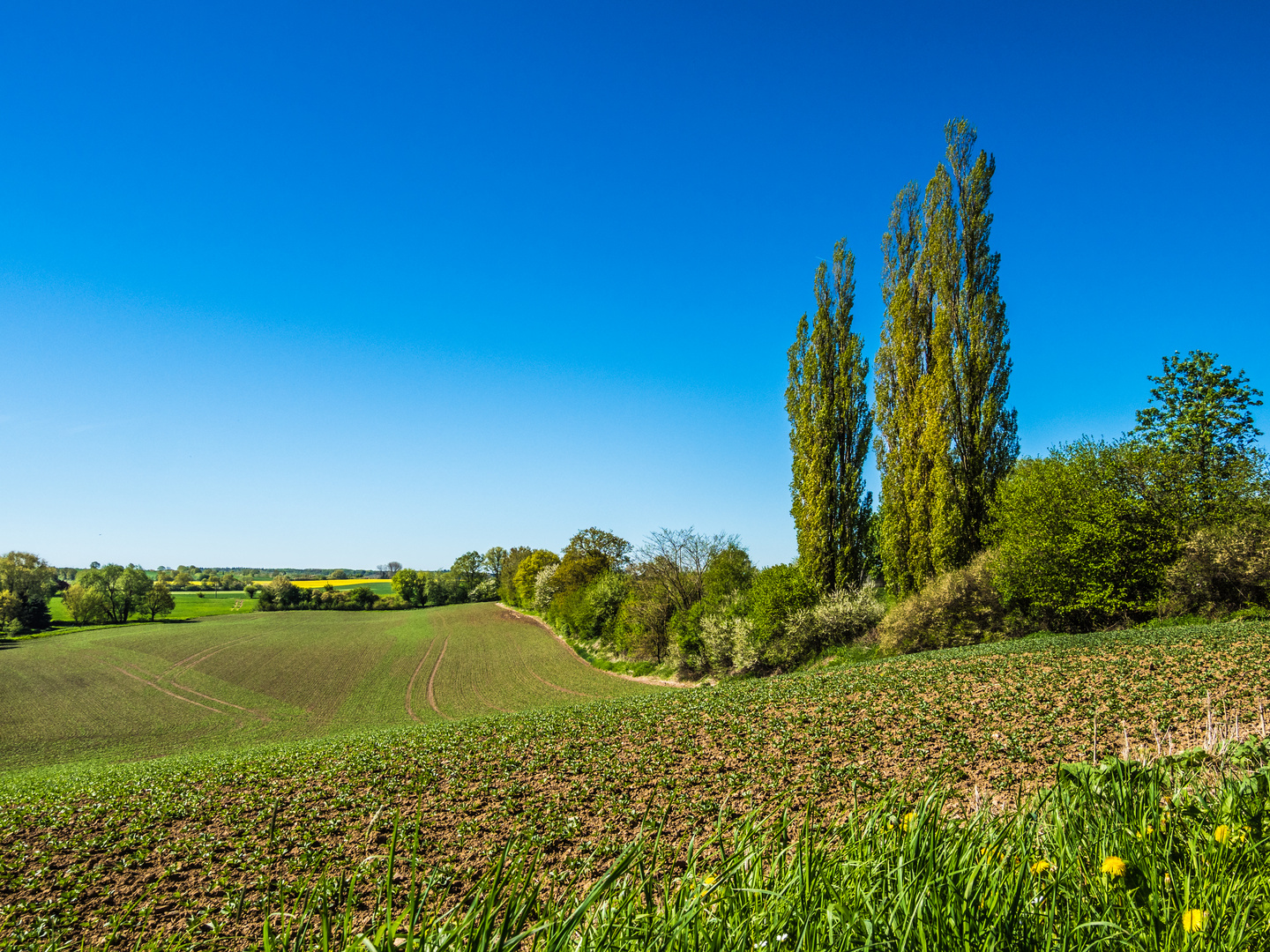 Frühling in Schleswig-Holstein