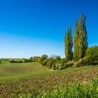 Frühling in Schleswig-Holstein