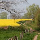 Frühling in Schleswig Holstein