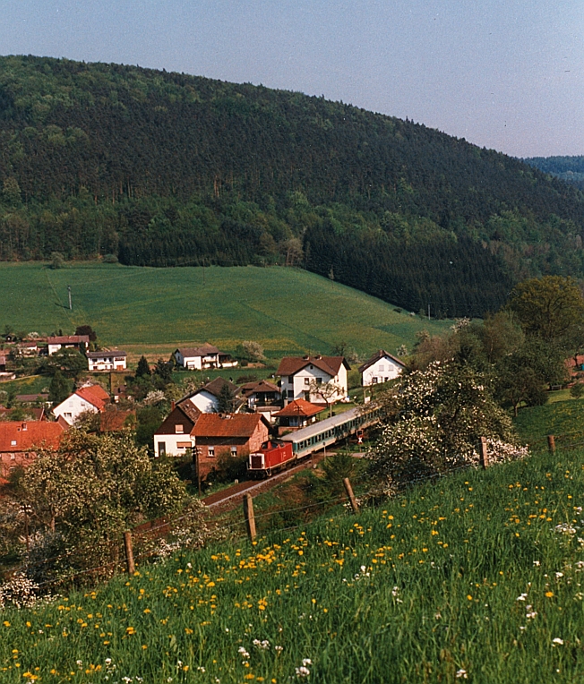 Frühling in Schöllenbach-Hesselbach