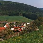 Frühling in Schöllenbach-Hesselbach