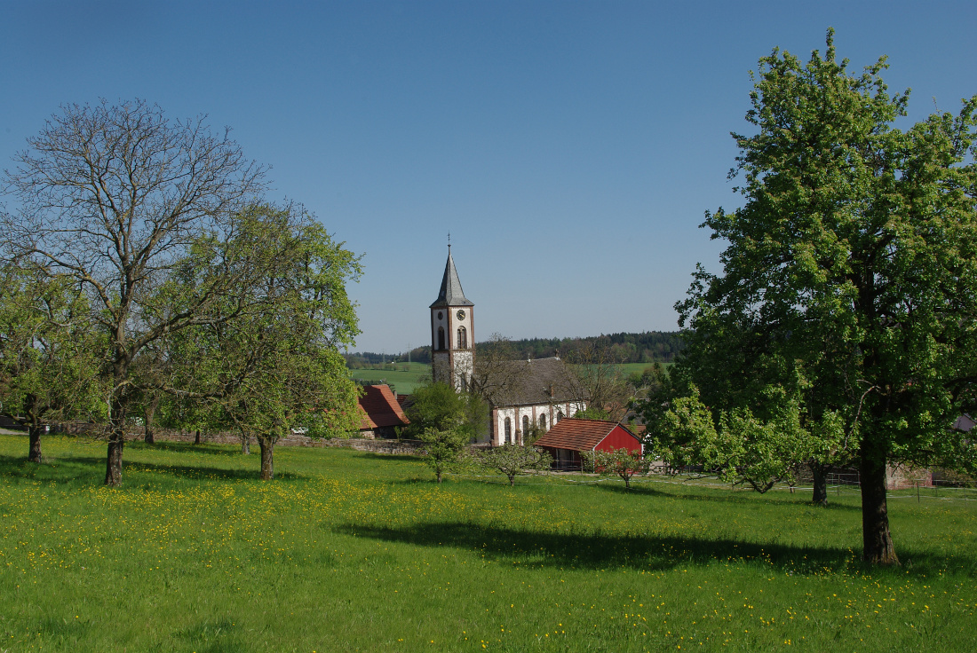 Frühling in Schönbrunn