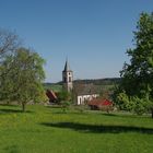 Frühling in Schönbrunn