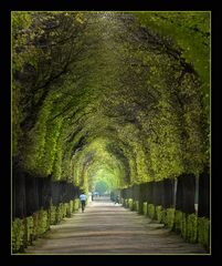 Frühling in Schönbrunner Park