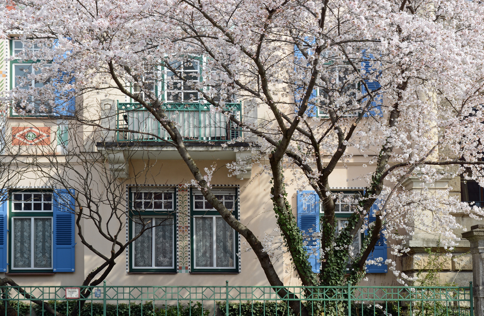 Frühling in Schwabing