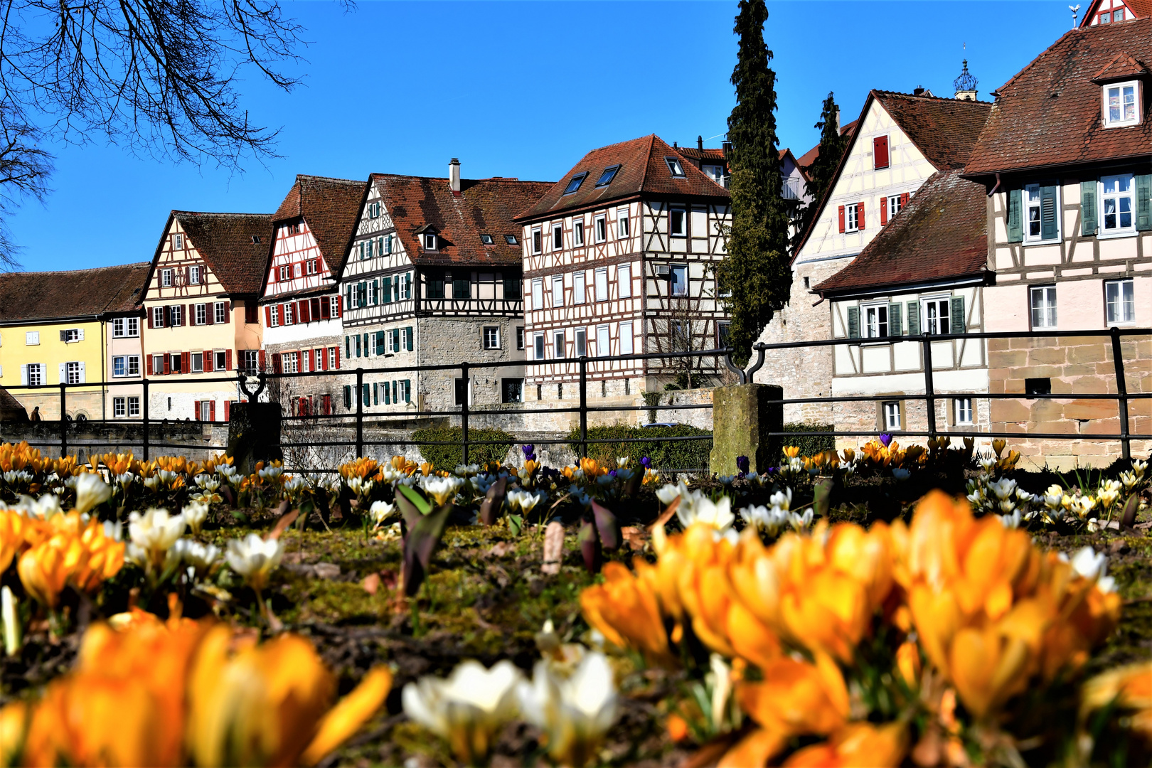 Frühling in Schwäbisch Hall