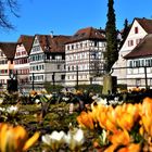 Frühling in Schwäbisch Hall