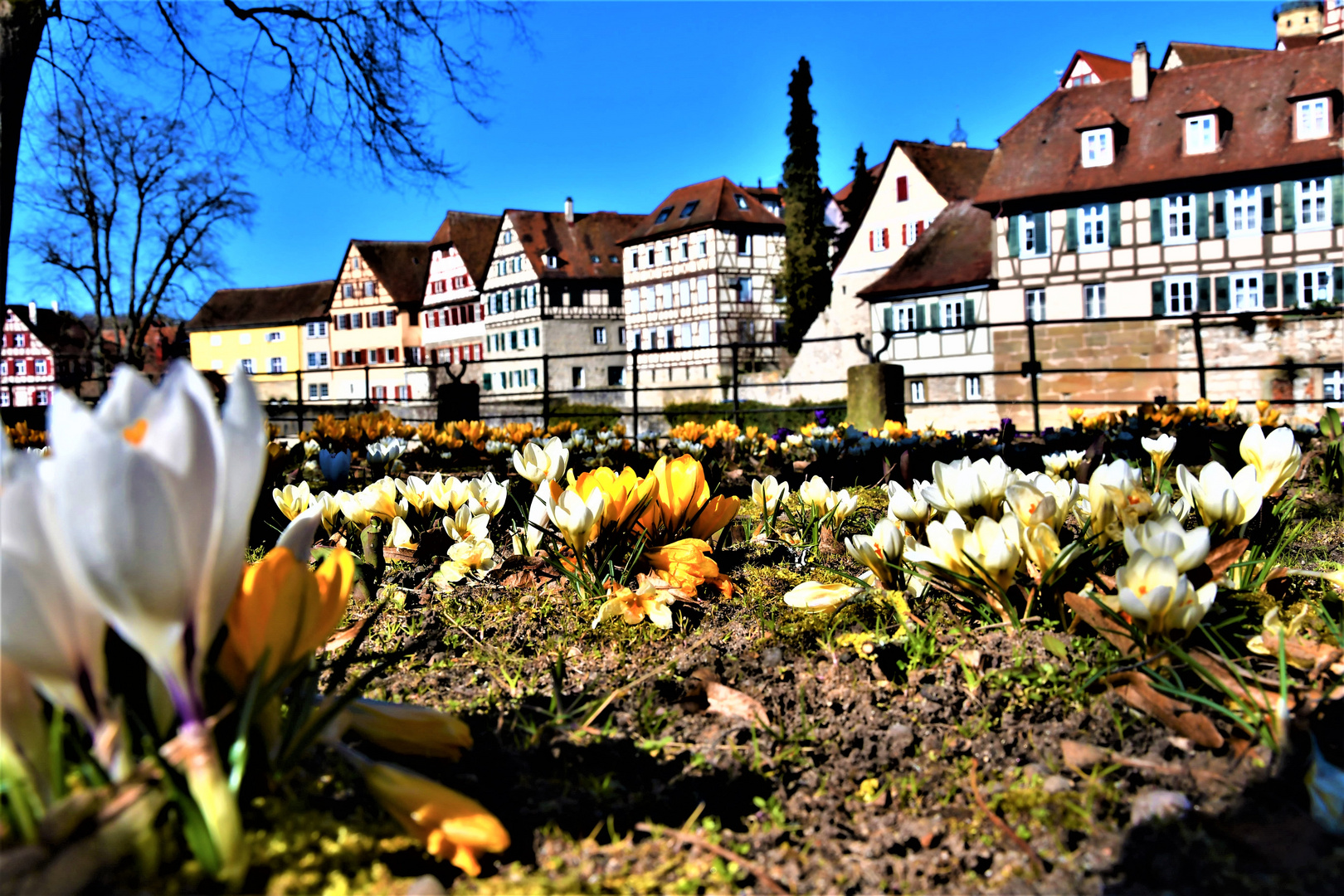 Frühling in Schwäbisch Hall